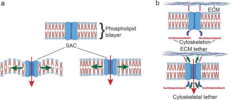 https://cdn.ncbi.nlm.nih.gov/pmc/blobs/aad5/10903386/f8c7cfb30705/BRIEIM-000004-021301_1-g002.jpg