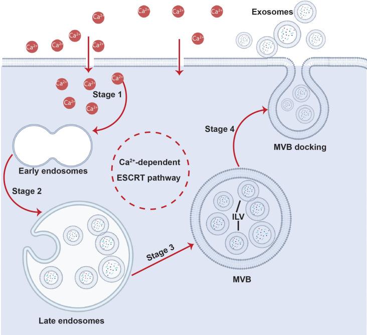 https://cdn.ncbi.nlm.nih.gov/pmc/blobs/aad5/10903386/fb63d49e2dfb/BRIEIM-000004-021301_1-g010.jpg
