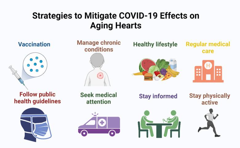 https://cdn.ncbi.nlm.nih.gov/pmc/blobs/aad5/12151517/0beaeb386489/aging-17-206251-g005.jpg