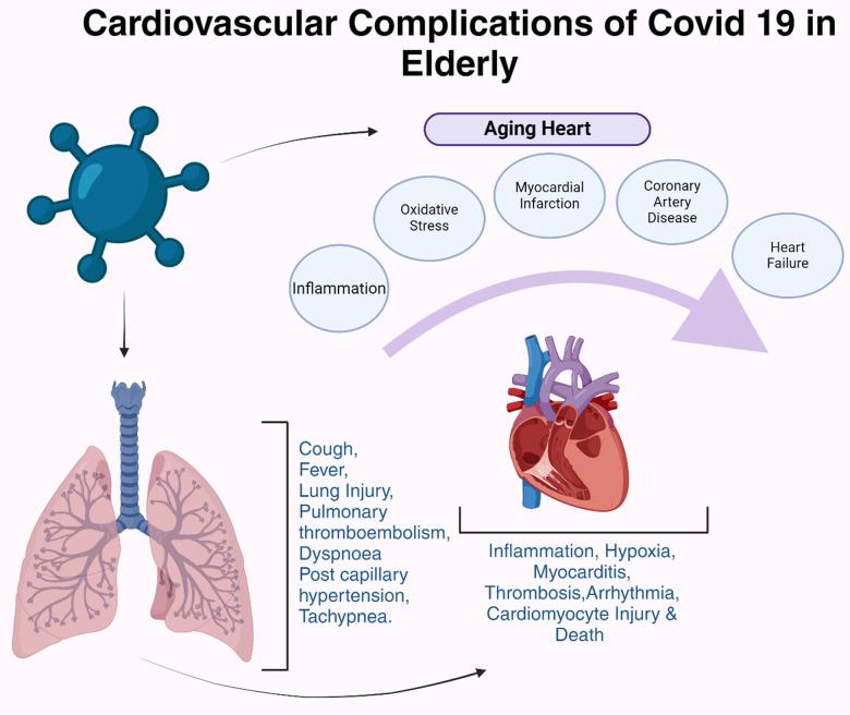 https://cdn.ncbi.nlm.nih.gov/pmc/blobs/aad5/12151517/15da319d2c22/aging-17-206251-g004.jpg