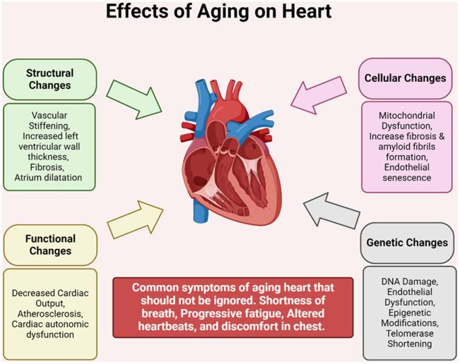 https://cdn.ncbi.nlm.nih.gov/pmc/blobs/aad5/12151517/54fdc9189baa/aging-17-206251-g002.jpg