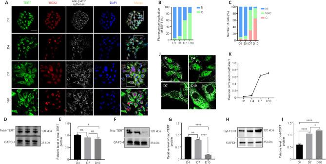https://cdn.ncbi.nlm.nih.gov/pmc/blobs/aad6/10749606/78c8aeeebeeb/NRR-19-1119-g004.jpg