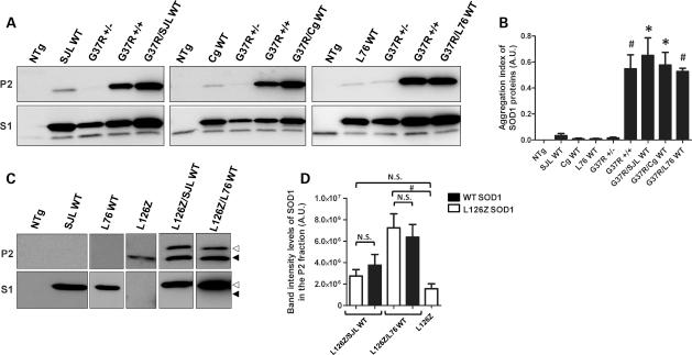 https://cdn.ncbi.nlm.nih.gov/pmc/blobs/aad6/2989888/71a14ccce166/ddq40804.jpg