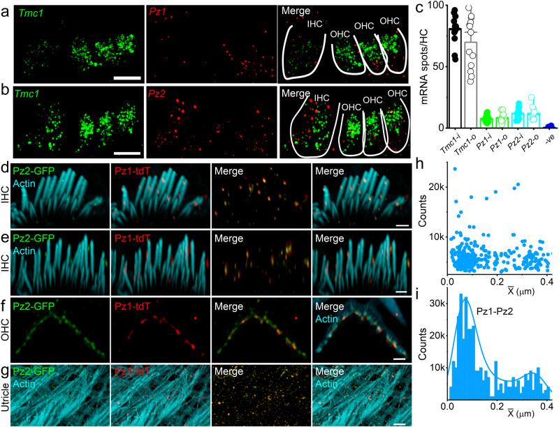 https://cdn.ncbi.nlm.nih.gov/pmc/blobs/aad7/10791687/219b35b42e14/41467_2023_44230_Fig1_HTML.jpg