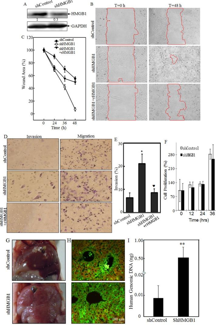 https://cdn.ncbi.nlm.nih.gov/pmc/blobs/aad7/4202136/d9bff6effdf8/oncotarget-05-7458-g001.jpg