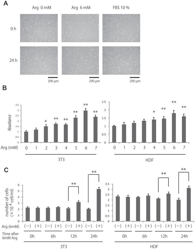 https://cdn.ncbi.nlm.nih.gov/pmc/blobs/aad8/3961283/07c5fdb3cf56/pone.0092168.g001.jpg