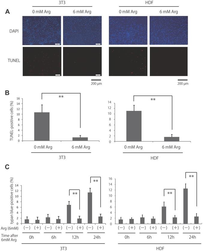 https://cdn.ncbi.nlm.nih.gov/pmc/blobs/aad8/3961283/afc8afee67e2/pone.0092168.g002.jpg
