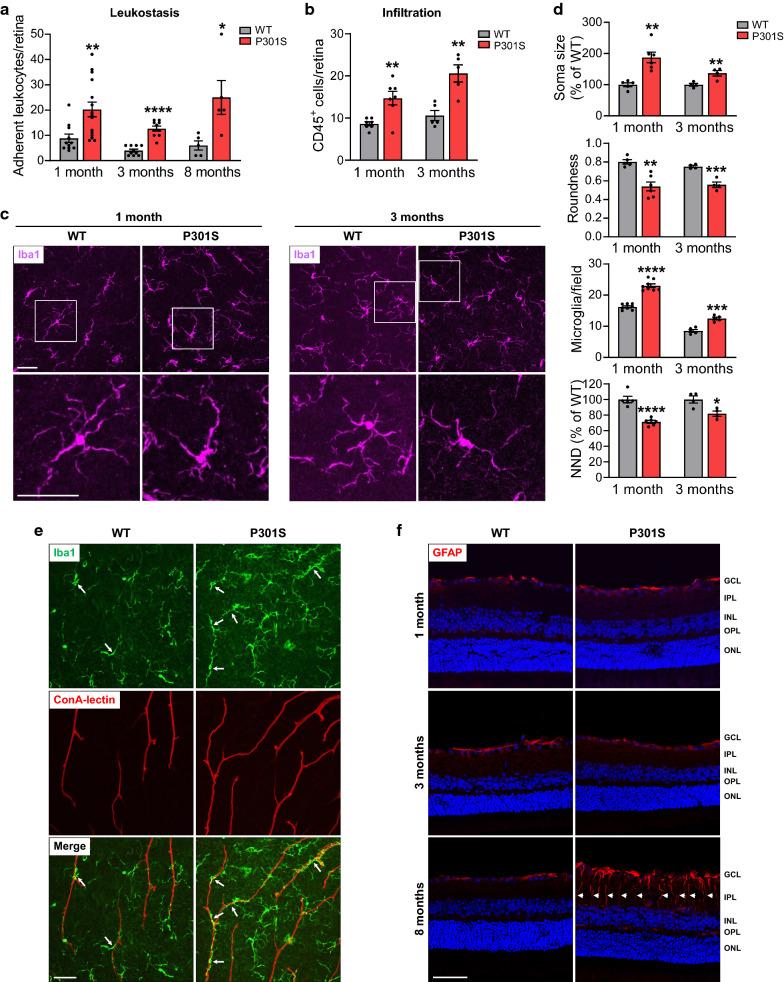 https://cdn.ncbi.nlm.nih.gov/pmc/blobs/aad9/7992935/c3d1b3eba4f8/40478_2021_1149_Fig3_HTML.jpg