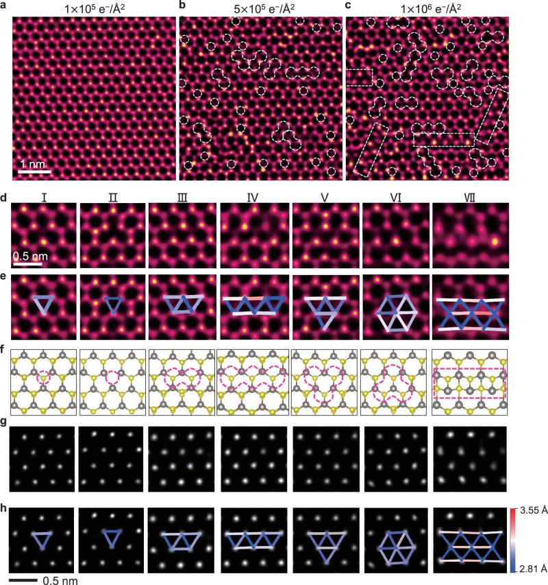 https://cdn.ncbi.nlm.nih.gov/pmc/blobs/aada/11531563/709c73a98629/41467_2024_53880_Fig2_HTML.jpg