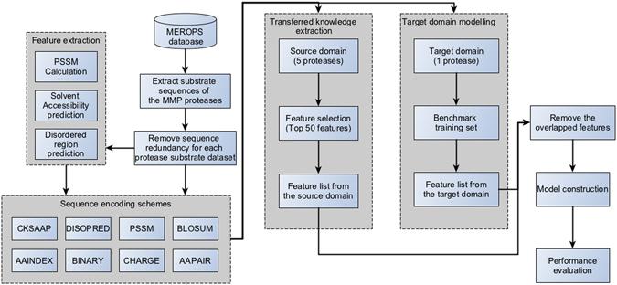 https://cdn.ncbi.nlm.nih.gov/pmc/blobs/aadb/5515926/7aa5afb93502/41598_2017_6219_Fig2_HTML.jpg