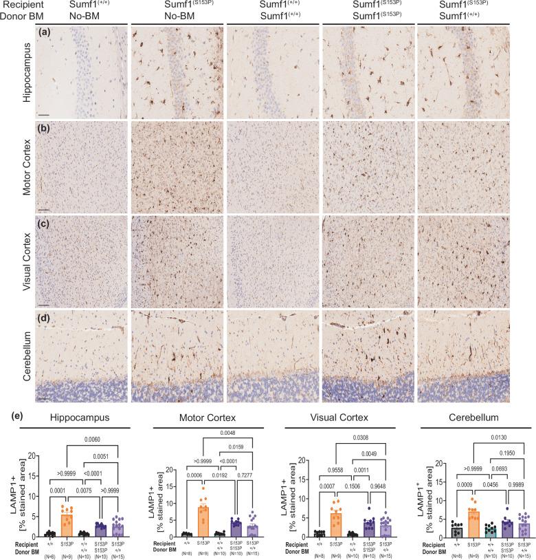 https://cdn.ncbi.nlm.nih.gov/pmc/blobs/aadd/11502872/b7b4114843d2/43856_2024_648_Fig6_HTML.jpg