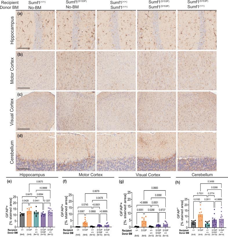 https://cdn.ncbi.nlm.nih.gov/pmc/blobs/aadd/11502872/ca0d78fb4e58/43856_2024_648_Fig5_HTML.jpg