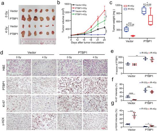 https://cdn.ncbi.nlm.nih.gov/pmc/blobs/aade/11558147/261d928d1ac3/ADVS-11-2405997-g007.jpg
