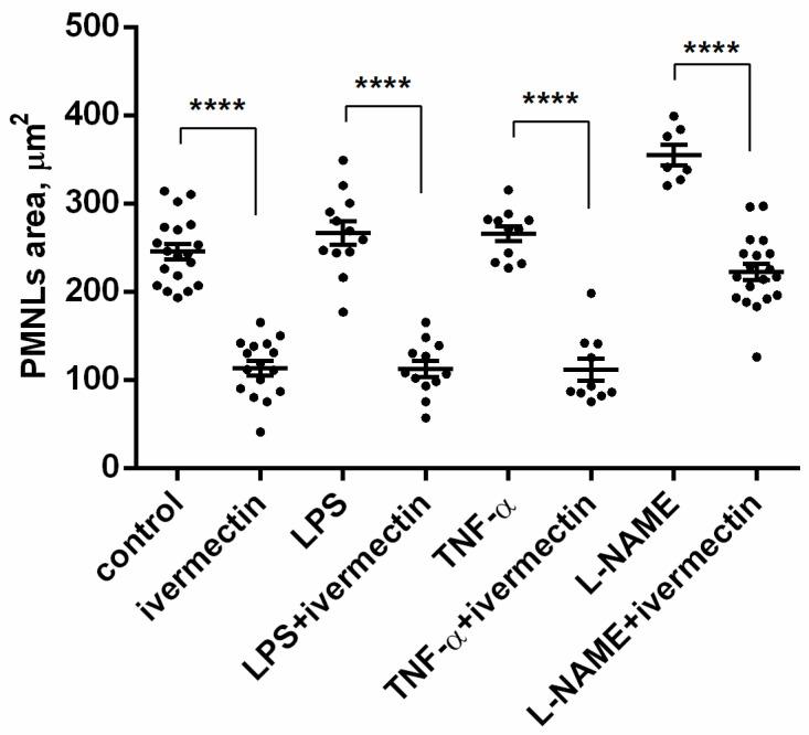 https://cdn.ncbi.nlm.nih.gov/pmc/blobs/aade/9775137/8193c837fdba/biomedicines-10-03284-g003.jpg