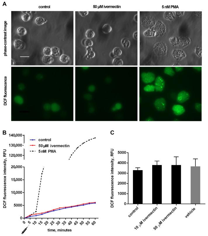 https://cdn.ncbi.nlm.nih.gov/pmc/blobs/aade/9775137/e6ce3461ad74/biomedicines-10-03284-g004.jpg