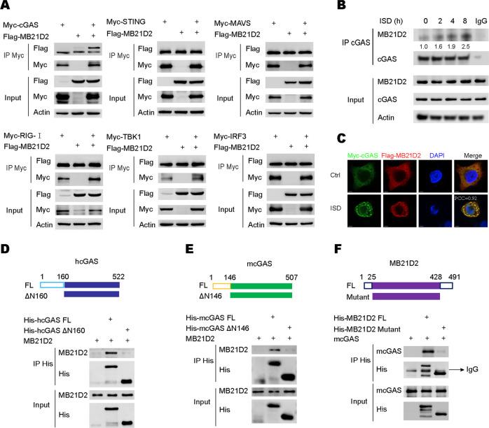 https://cdn.ncbi.nlm.nih.gov/pmc/blobs/aadf/10070471/0718a2636d27/41418_2023_1116_Fig3_HTML.jpg
