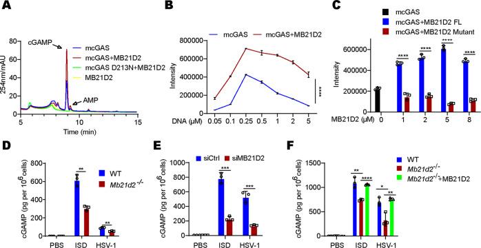 https://cdn.ncbi.nlm.nih.gov/pmc/blobs/aadf/10070471/47bb81c04edc/41418_2023_1116_Fig5_HTML.jpg
