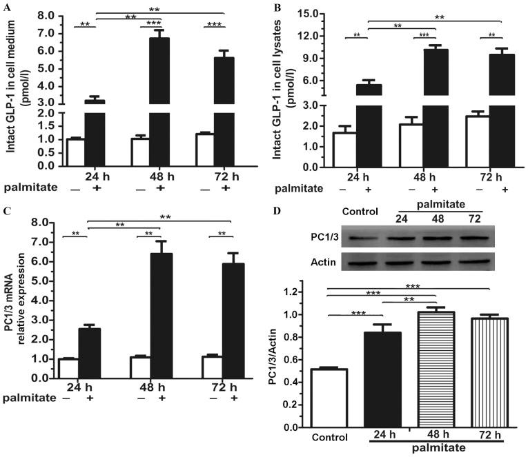 https://cdn.ncbi.nlm.nih.gov/pmc/blobs/aadf/4494597/98c03efd0954/IJMM-36-01-0173-g01.jpg