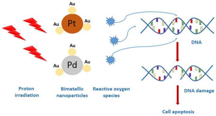 https://cdn.ncbi.nlm.nih.gov/pmc/blobs/aae0/8539939/de9271fba009/pharmaceutics-13-01726-g001.jpg
