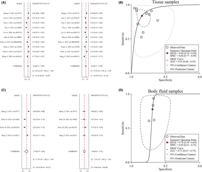 https://cdn.ncbi.nlm.nih.gov/pmc/blobs/aae0/9550963/865af6c8b53a/JCLA-36-e24670-g004.jpg