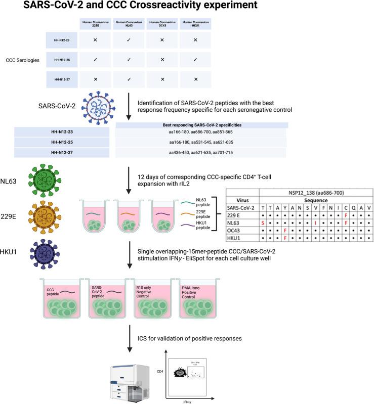 https://cdn.ncbi.nlm.nih.gov/pmc/blobs/aae1/10196118/329c68976ad3/fimmu-14-1182504-g004.jpg