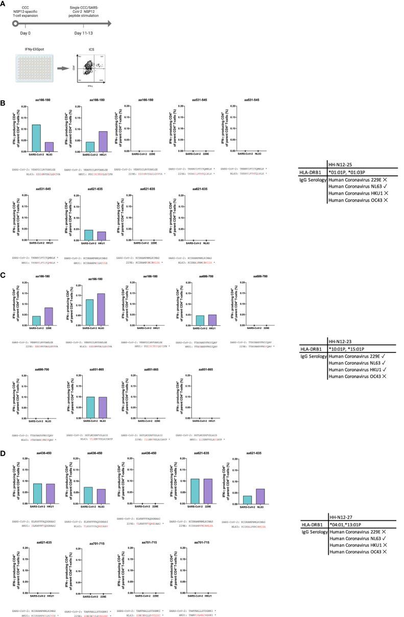 https://cdn.ncbi.nlm.nih.gov/pmc/blobs/aae1/10196118/3637470d64c3/fimmu-14-1182504-g005.jpg