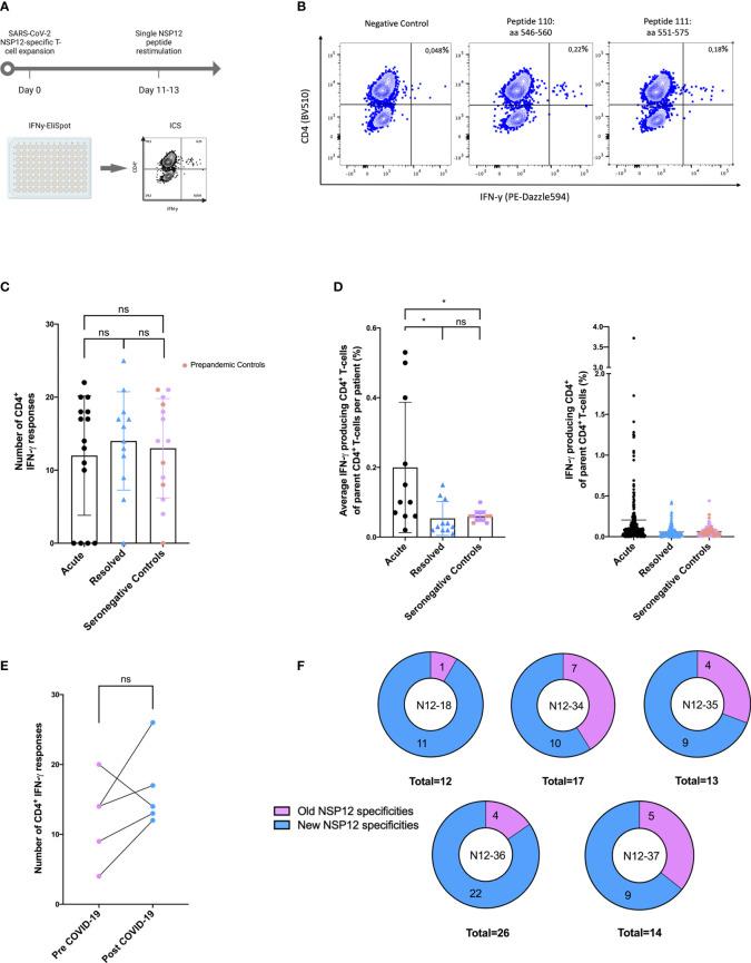 https://cdn.ncbi.nlm.nih.gov/pmc/blobs/aae1/10196118/d32ed8db422b/fimmu-14-1182504-g002.jpg