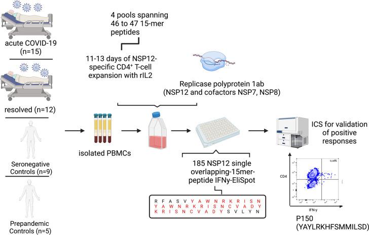 https://cdn.ncbi.nlm.nih.gov/pmc/blobs/aae1/10196118/e50df9246b37/fimmu-14-1182504-g001.jpg