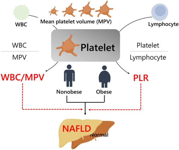 https://cdn.ncbi.nlm.nih.gov/pmc/blobs/aae1/10937929/2712744e219d/41598_2024_56796_Fig2_HTML.jpg