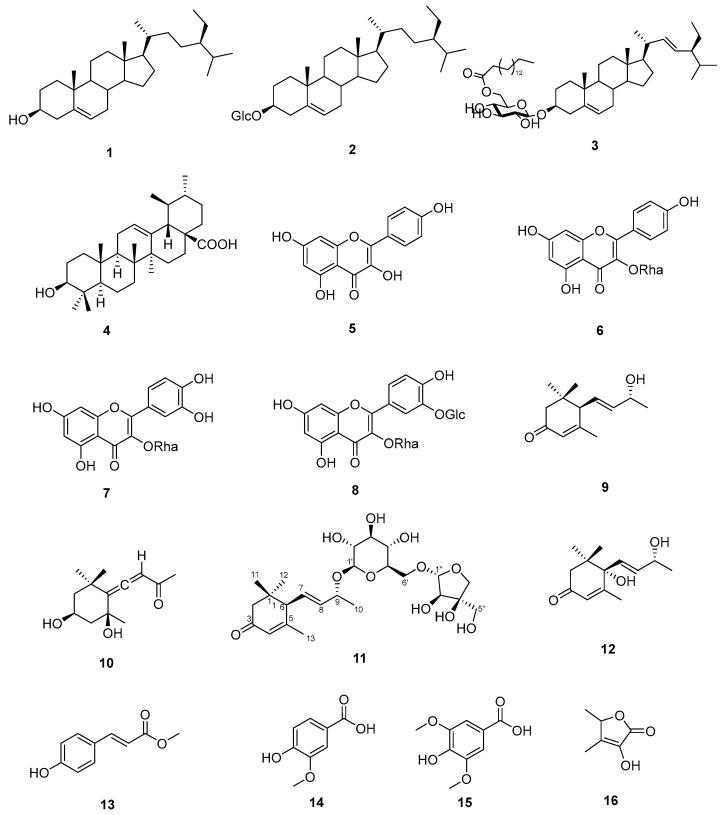 https://cdn.ncbi.nlm.nih.gov/pmc/blobs/aae2/12112773/2817ddf82edf/life-15-00680-g001.jpg