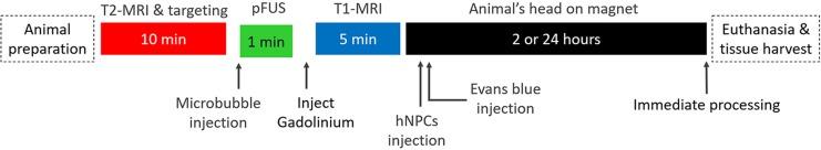 https://cdn.ncbi.nlm.nih.gov/pmc/blobs/aae3/5657739/5323d4ccc994/10.1177_0963689717715824-fig1.jpg