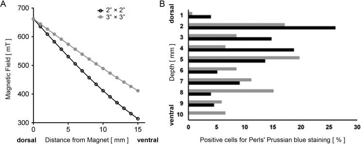 https://cdn.ncbi.nlm.nih.gov/pmc/blobs/aae3/5657739/c73874f3e759/10.1177_0963689717715824-fig8.jpg