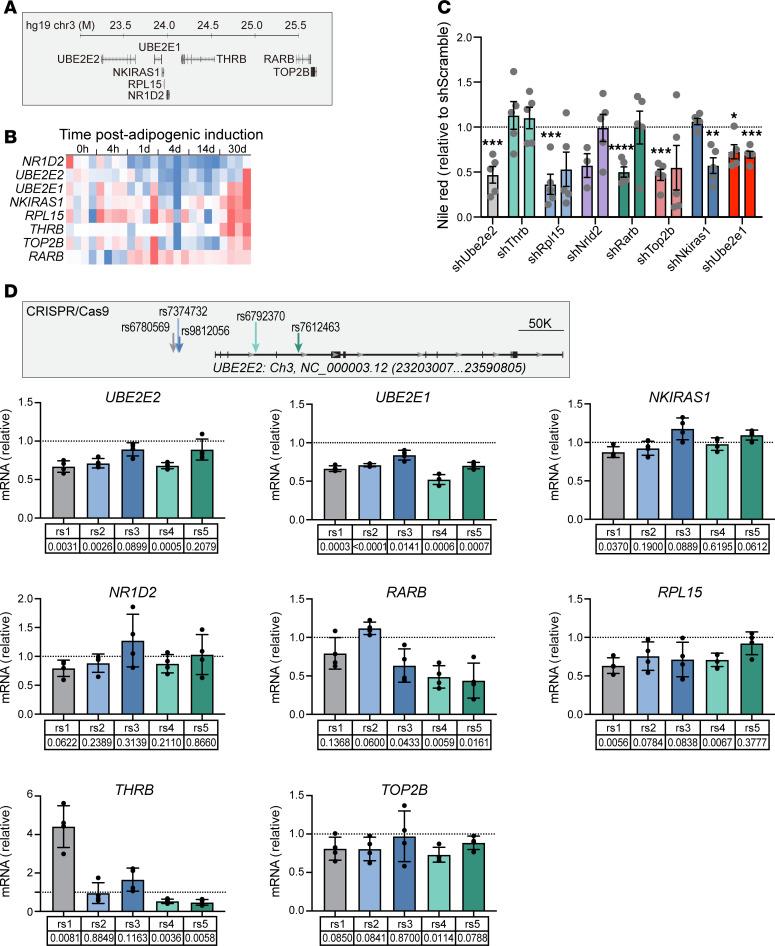 https://cdn.ncbi.nlm.nih.gov/pmc/blobs/aae4/11790016/b2a6b6ecbcaa/jciinsight-10-184140-g172.jpg