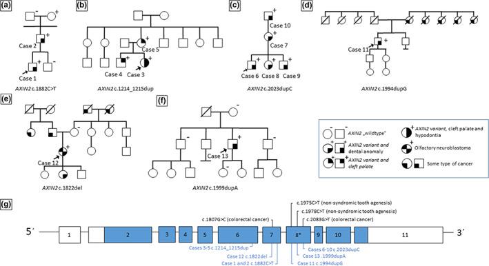 https://cdn.ncbi.nlm.nih.gov/pmc/blobs/aae6/10265056/3d5522e56bd2/MGG3-11-e2157-g001.jpg