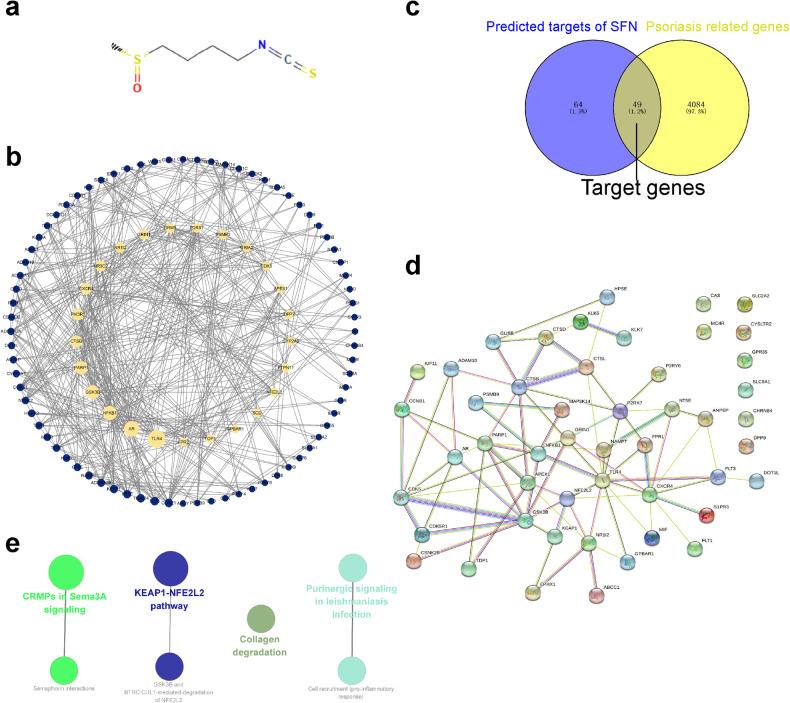 https://cdn.ncbi.nlm.nih.gov/pmc/blobs/aae6/10676357/18d2dfc10e5b/41419_2023_6234_Fig4_HTML.jpg