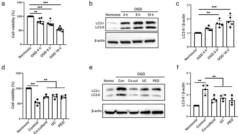 https://cdn.ncbi.nlm.nih.gov/pmc/blobs/aae7/7710129/2ff929d2f5b0/JEV2-10-e12024-g002.jpg