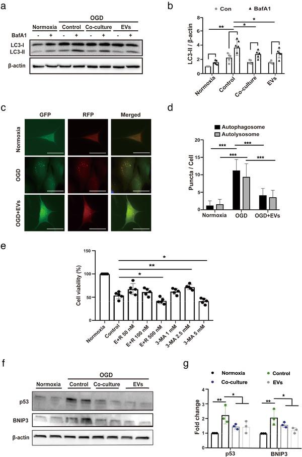 https://cdn.ncbi.nlm.nih.gov/pmc/blobs/aae7/7710129/383b1b410593/JEV2-10-e12024-g003.jpg