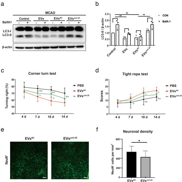 https://cdn.ncbi.nlm.nih.gov/pmc/blobs/aae7/7710129/8e3a7148d73c/JEV2-10-e12024-g007.jpg