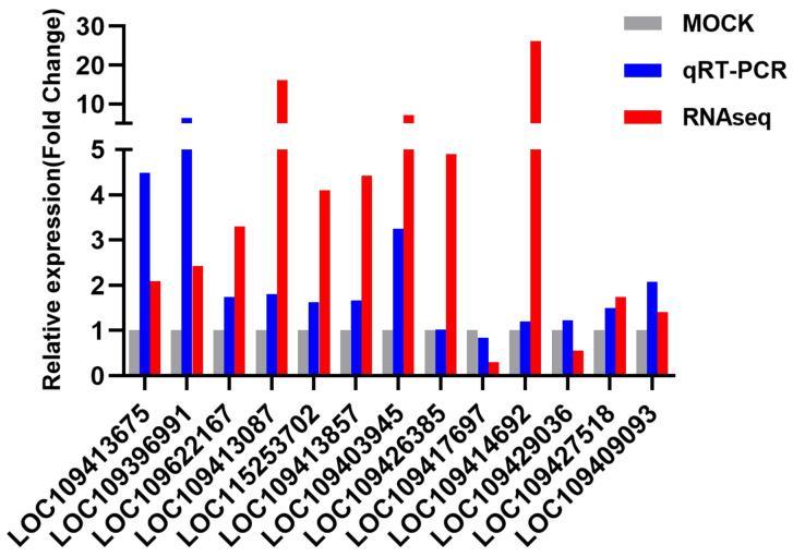 https://cdn.ncbi.nlm.nih.gov/pmc/blobs/aae8/7926344/1736233abcce/viruses-13-00343-g004.jpg
