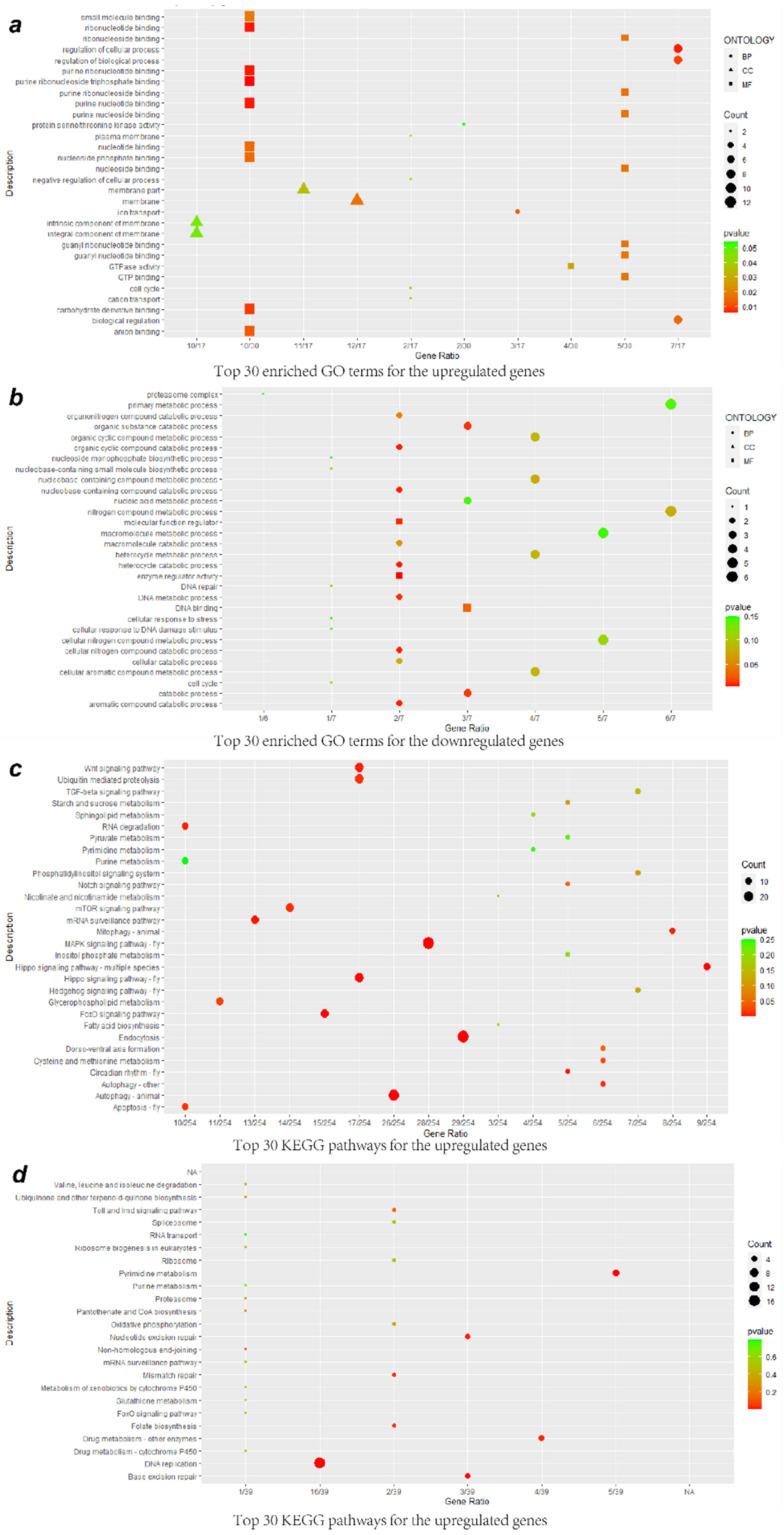 https://cdn.ncbi.nlm.nih.gov/pmc/blobs/aae8/7926344/476be22b8284/viruses-13-00343-g003.jpg