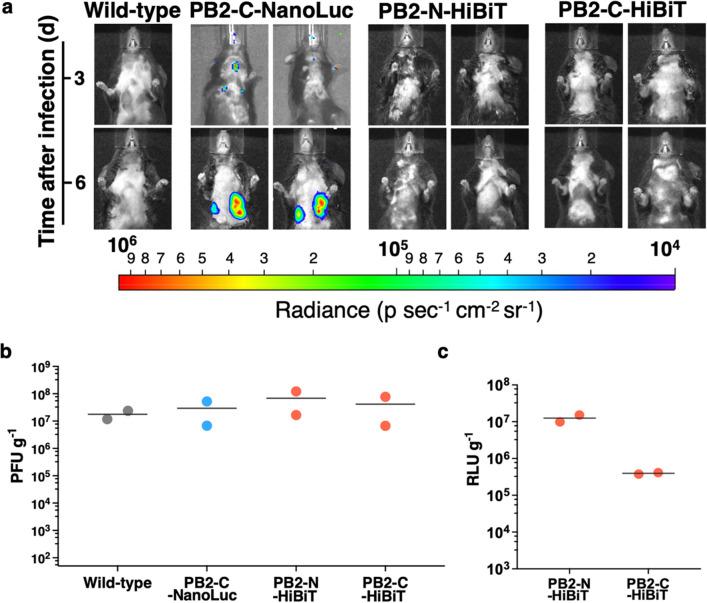 https://cdn.ncbi.nlm.nih.gov/pmc/blobs/aaeb/8873407/5808bb4bf431/41598_2022_6667_Fig4_HTML.jpg
