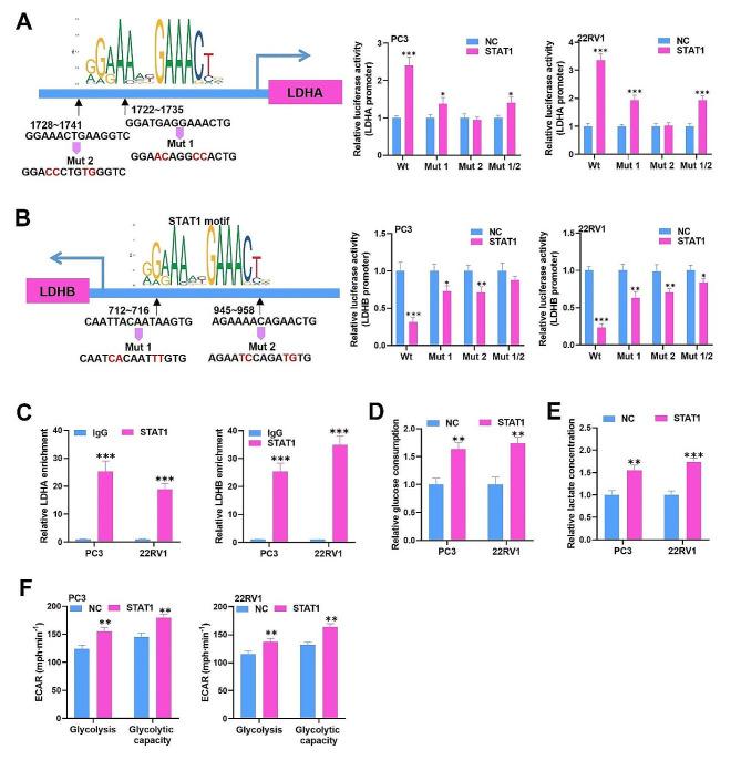https://cdn.ncbi.nlm.nih.gov/pmc/blobs/aaed/11103983/4cf4042d0f9d/12967_2024_5193_Fig7_HTML.jpg