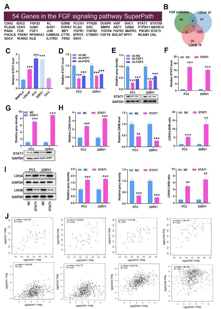 https://cdn.ncbi.nlm.nih.gov/pmc/blobs/aaed/11103983/64b92c10a083/12967_2024_5193_Fig6_HTML.jpg