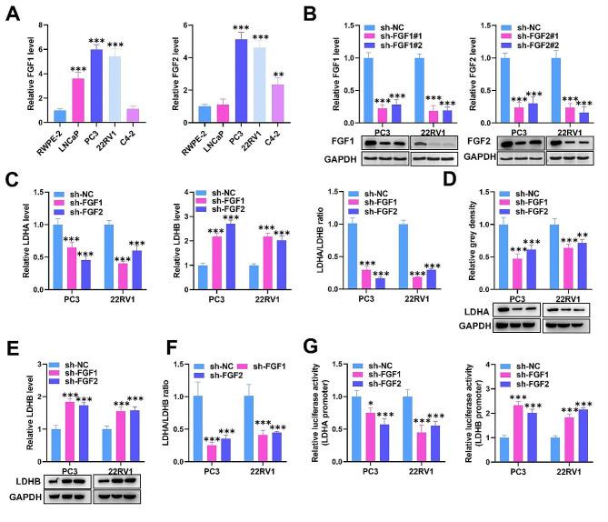 https://cdn.ncbi.nlm.nih.gov/pmc/blobs/aaed/11103983/d3564b47fa21/12967_2024_5193_Fig2_HTML.jpg