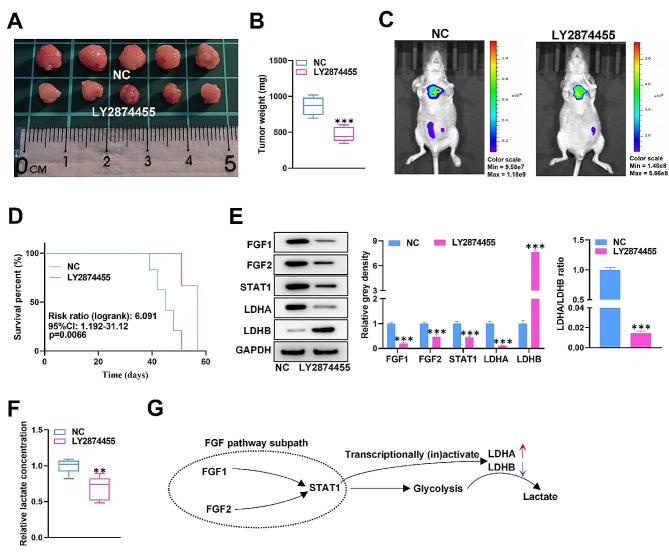 https://cdn.ncbi.nlm.nih.gov/pmc/blobs/aaed/11103983/d8d93e820d67/12967_2024_5193_Fig8_HTML.jpg