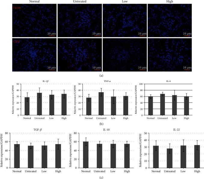 https://cdn.ncbi.nlm.nih.gov/pmc/blobs/aaee/7868138/3e4e32474bcb/BMRI2021-6890679.005.jpg