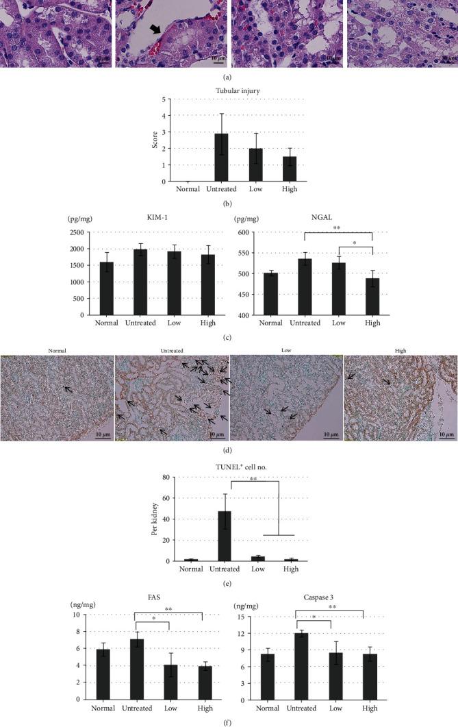 https://cdn.ncbi.nlm.nih.gov/pmc/blobs/aaee/7868138/d059a54302c0/BMRI2021-6890679.002.jpg
