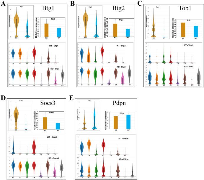 https://cdn.ncbi.nlm.nih.gov/pmc/blobs/aaef/11412383/594c687251c1/iovs-65-11-27-f004.jpg