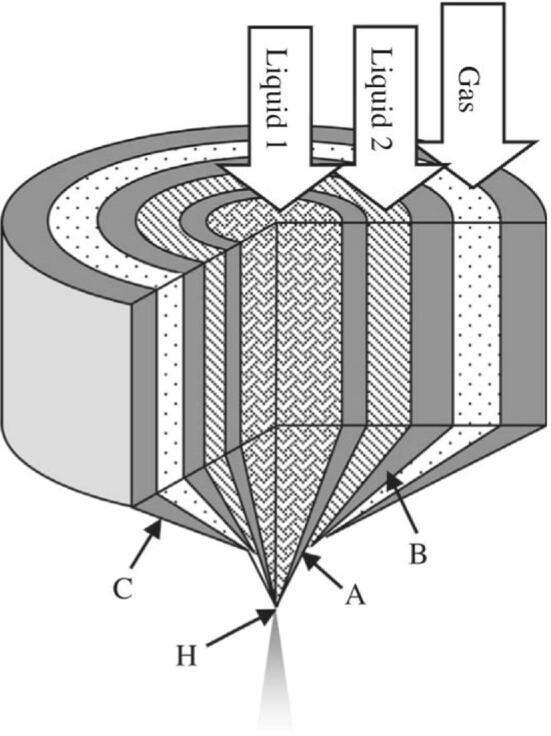 https://cdn.ncbi.nlm.nih.gov/pmc/blobs/aaef/8689405/140980d94ad4/gr1.jpg