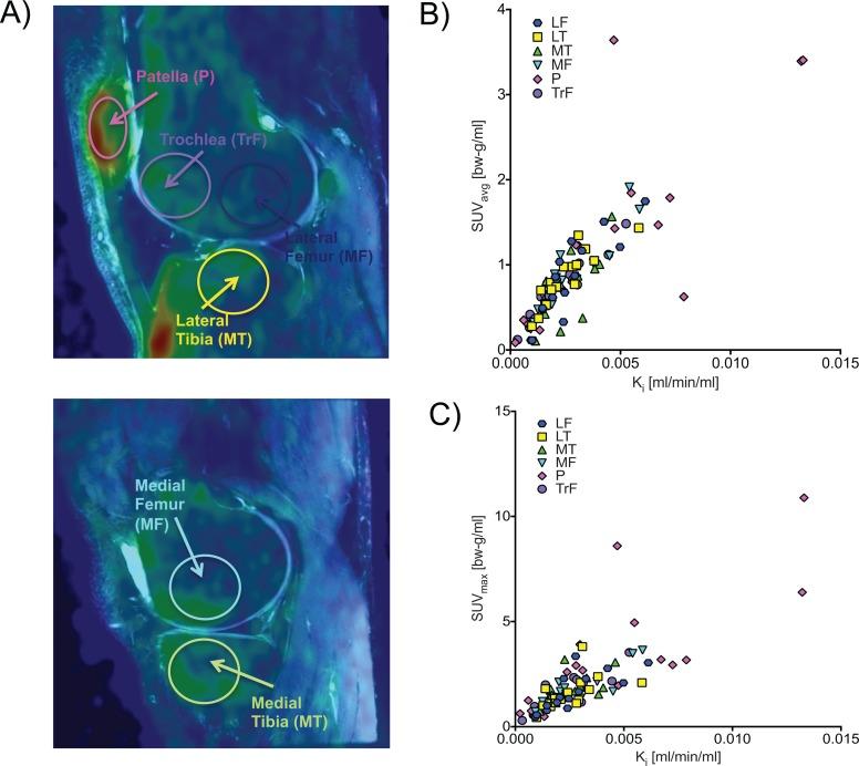 https://cdn.ncbi.nlm.nih.gov/pmc/blobs/aaf3/5470142/911096ddccd3/10.1177_1536012116683597-fig2.jpg